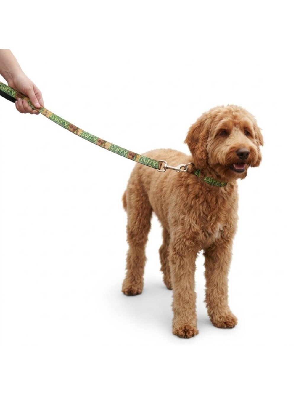 Marvel Guardians of the Galaxy 49in Long x 1in Wide Dog Leash with Metal Clip